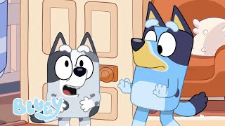 AO VIVO: Episódios Completos | Bluey