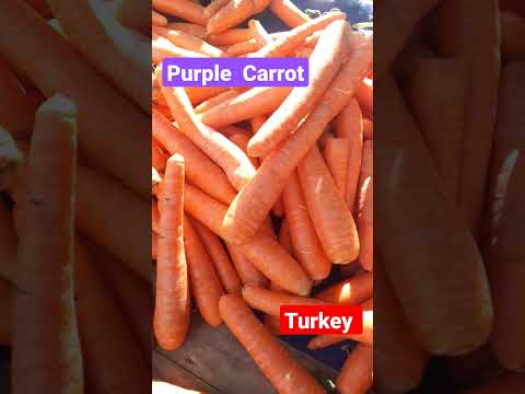 Purple  Carrot#astriedshortsyt