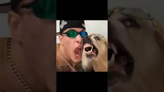 The BeatBox with a Dog @PianoSheetMusic