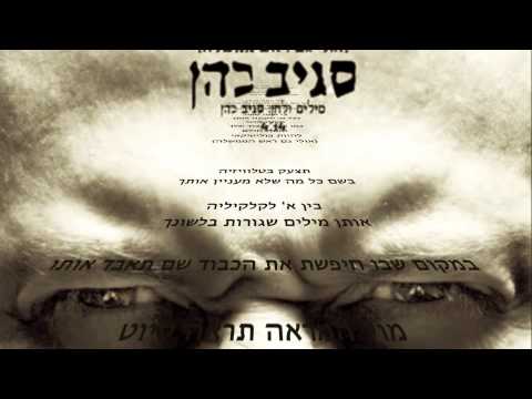 להיות פוליטיקאי - סגיב כהן