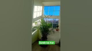 surah tul Asr #egzonibrahimi #quran #viralvideo #nature #naturesvoice #quran #beautiful #view