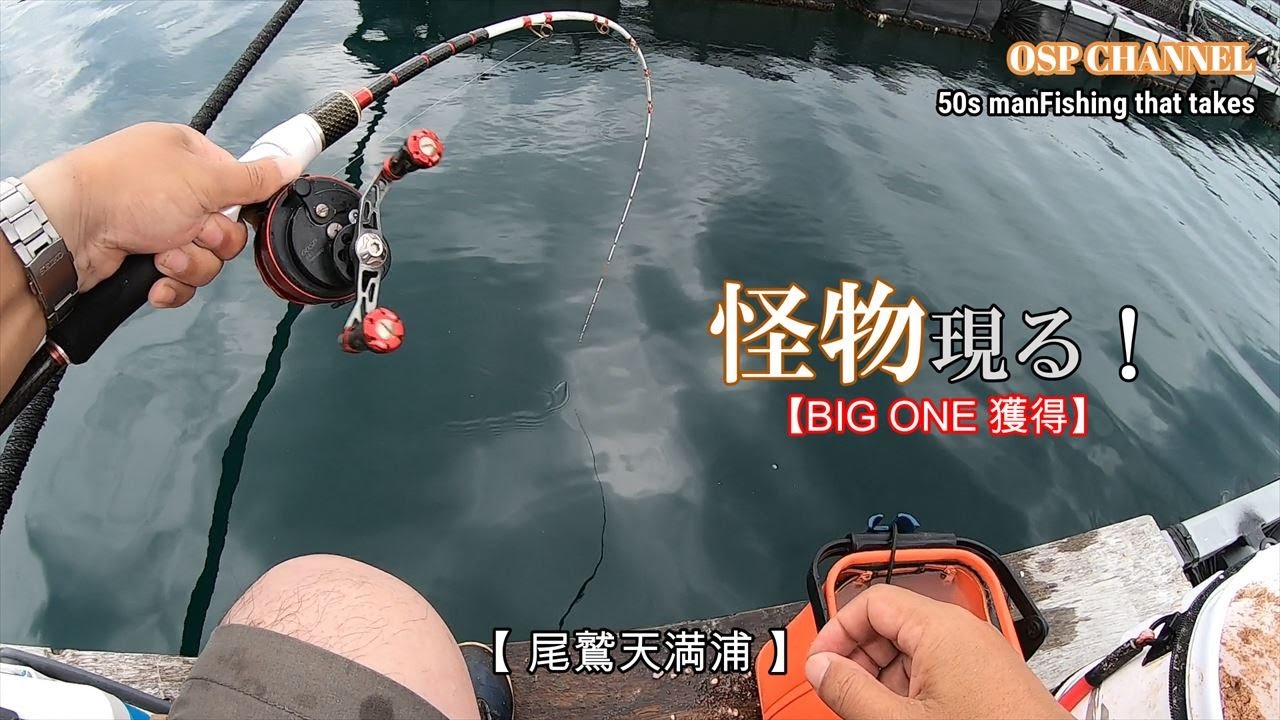 【かかり釣り】台風の中、巨チヌの聖地、天満浦での激闘です！これが、オヤジの生き様！THE OSP CHANNLです。(^-^;ご堪能下さい。m(__)m