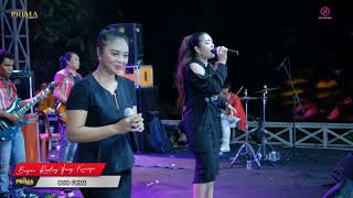 Download Lagu Bagai ranting yang kering - Duo prime ❗️ New prima reborn #subscribe #dangdutjawatimur #music #fyp Download Lagu Bagai ranting yang kering - Duo prime ❗️ New prima reborn #subscribe #dangdutjawatimur #music #fyp