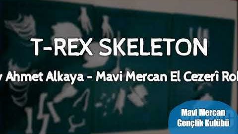 T-REX SKELETON DIY 3D PRİNTER