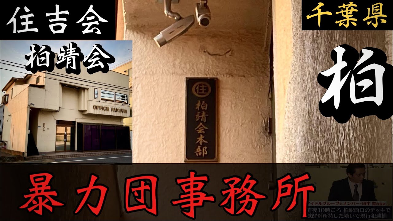 活動歴および当時の関連ビジュアル記録