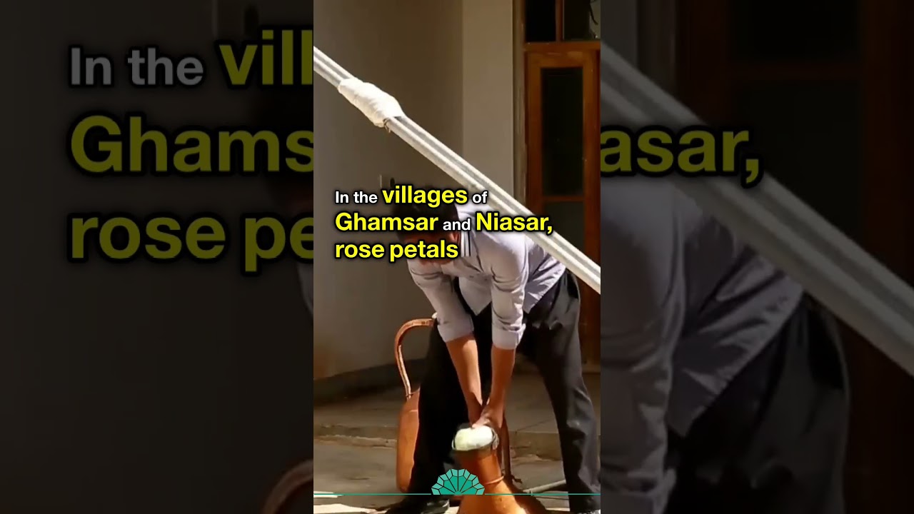 Where Roses Become Memory #shorts