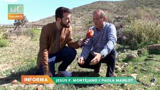 El Garbancillo y sus volcanes, en Murcia Conecta de 7RM