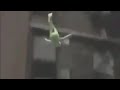 Kermit the Frog falls from a building and dies lol