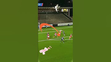 Breaking Boundaries:🤸🏾‍♀️ Art and Science of 🤽‍♀️Women