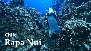 Rapa Nui Second Dive Part 01: Descent