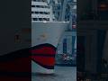 AIDAnova - Auslaufen aus dem Hamburger Hafen mit Schiffshorn