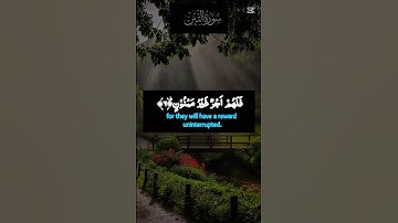 Surah At-Tin | سورة التين | Beautiful Tilawat with Urdu Translation