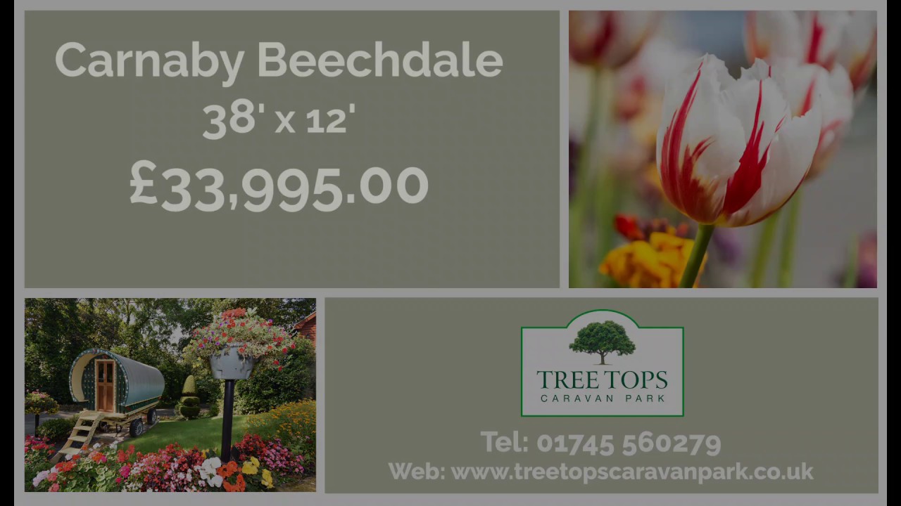 Carnaby Beechdale 38'x12' for sale at Tree Tops Caravan Park