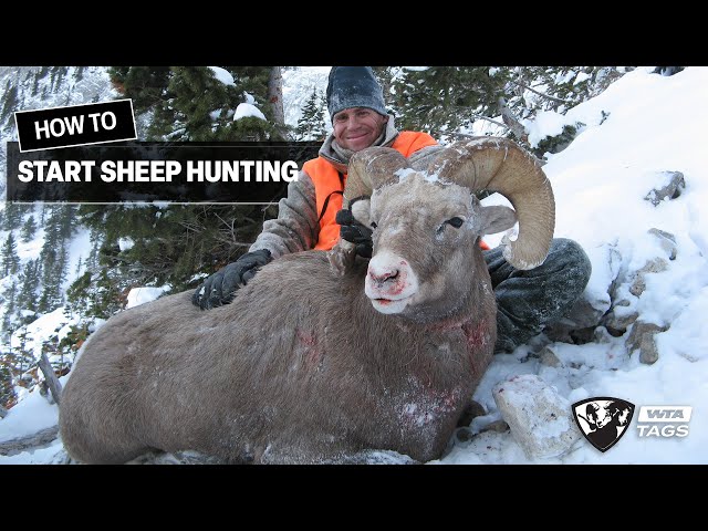 How to Make Sheep Hunting Affordable | Worldwide Trophy Adventures class=