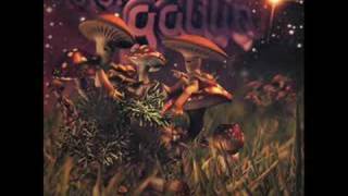 Distorted Goblin - Through The Night-DPsyV