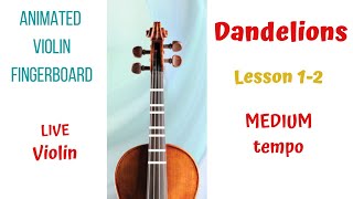   DANDELIONS by Ruth B. * Lesson 1-2 * MEDIUM. ANIMATED Violin FINGERBOARD  Live Violin Sound