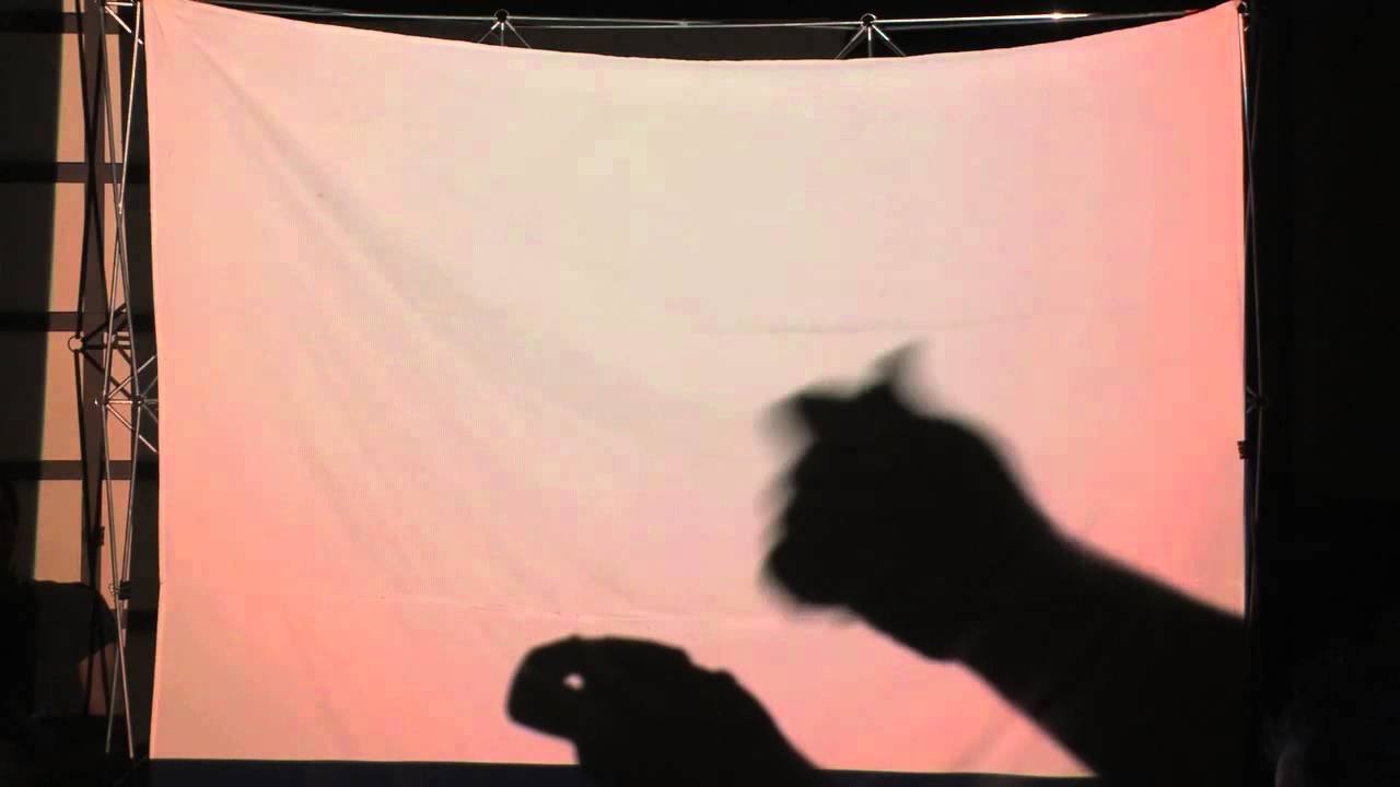 david letterman young Sonny Fontana Shadow Puppets