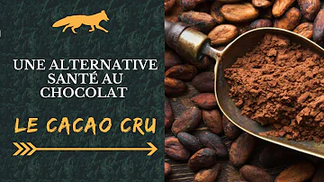 Quels sont les bienfaits du cacao cru ?