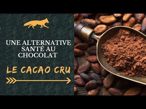 Vidéo: Cacao (herbe) - Propriétés Utiles Et Utilisation Du Cacao, Contre-indications. Lance Kakali