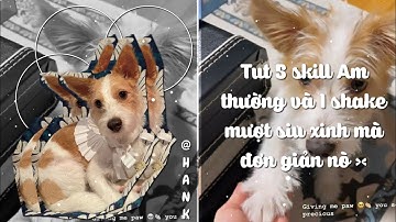 Basic skill part 10 | Tut 5 skill am thường và 1 shake siu xinh mà đơn giản nò 🍓🌺 (#13)