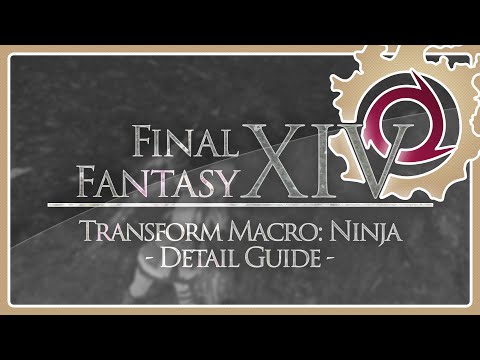 FFXIV │ NIN │ Transformation Macro Guide 🇩🇪