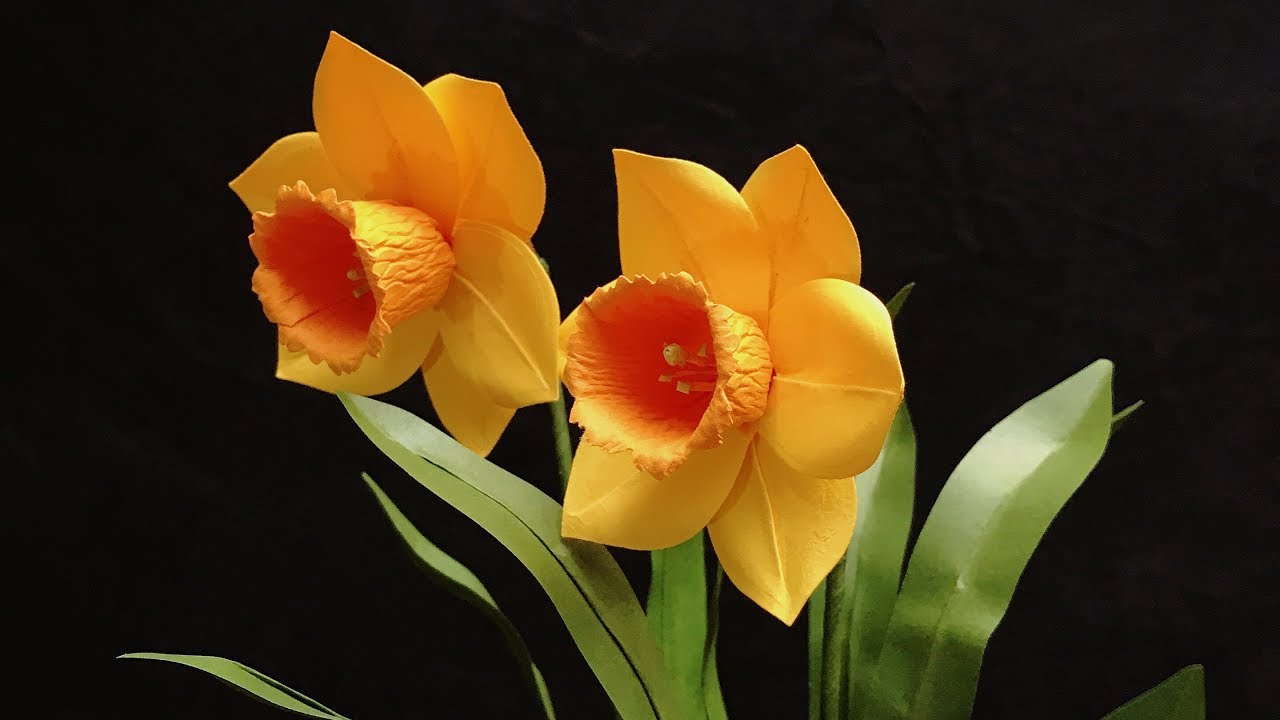 ABC TV | Как сделать Нарцисс бумажный цветок | Flower Die Cuts - Учебное пособие по ремеслу