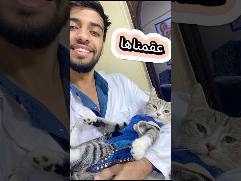 عملنا عمليه تعقيم للقطقوطه قطط    ابلور 