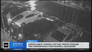 Video shows Lamborghinis stolen from Norwell dealership