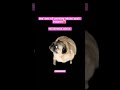 day one of posting white girl bangers #amnewbutnottheleast #helpmemakethismakesense #bangerbeats