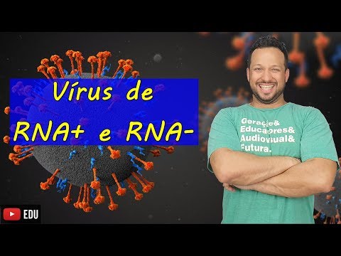 Vídeo: O que é RNA simples?