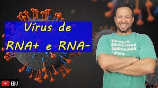 Vírus de Cadeia Positiva e Negativa (RNA+ e RNA-)