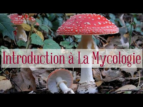 Mycologie:Introduction