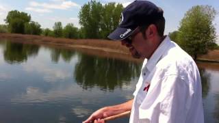 Reeling in a sturgeon on 10 lb test line