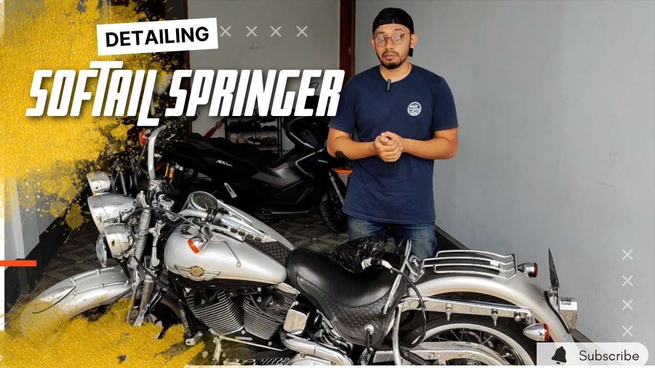 Harley davidson Softail Pickup Service Detailing full Detailing