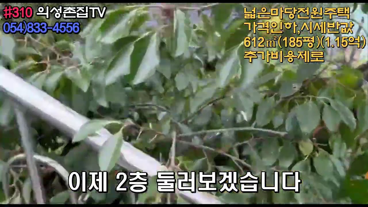 #310 의성촌집TV 시세반값!! 주택2채 본채-2층주택 (튼튼한 H빔건물) 아래채-(흙벽돌 황토방) 창고 185평 합1.15억 전망좋은 남향 상태최고! 귀농귀촌용 #의성전원주택