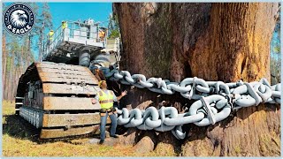 199 Incredible Fastest Big Chainsaw Cutting Tree Machines ▶3