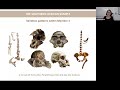 Dr Amélie Beaudet - Australopithecus from Sterkfontein Caves (South Africa) An evolutionary species?