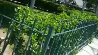 2020 - Izúcar de Matamoros #Puebla #México