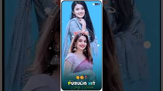 Jhalki Saree Shikari Taniya New Paribar Songs 2023 Purulia