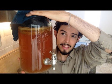 Video: Cómo Hacer Kombucha