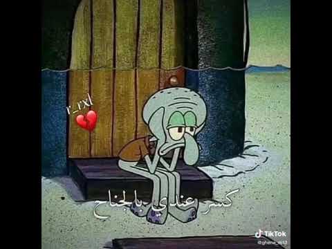 حالات واتس اب انا بدونكك ما ممرتاح شفيق