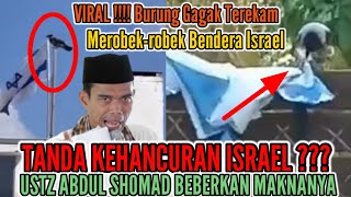 Viral Burung Gagak Terekam Merobek-robek Bendera Israel, Ustz Abdul Somad beberkan maknanya