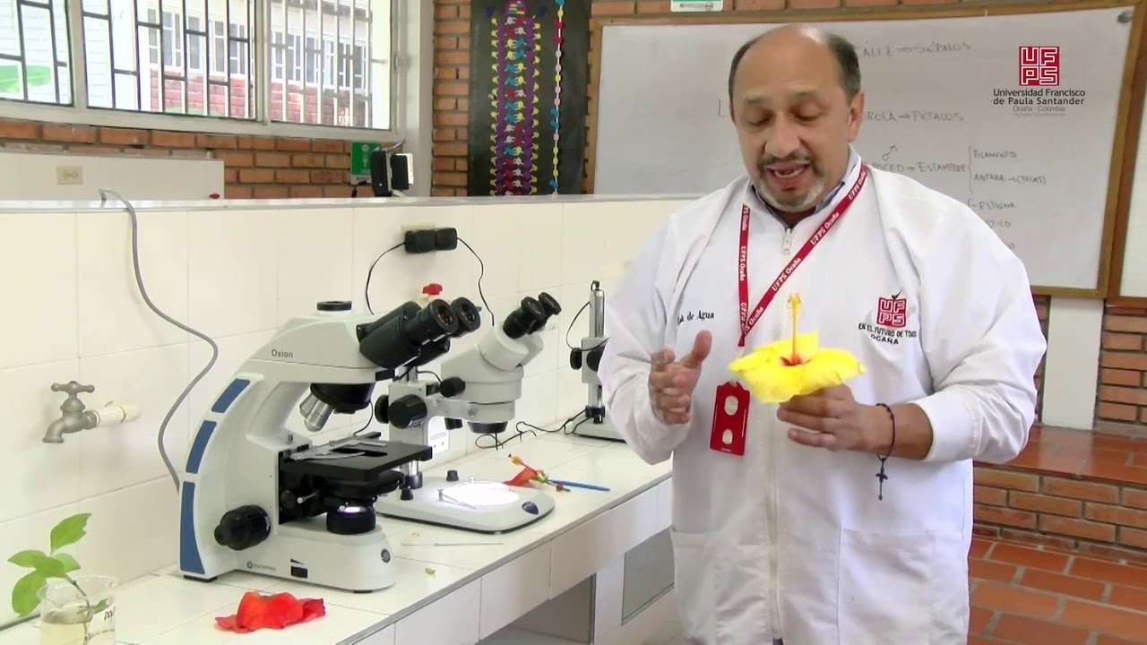 Práctica de Laboratorio Universidad Francisco de Paula Santander Seccional Ocaña