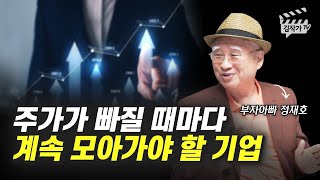 주가가 빠질 때마다 계속 사 모아가야 할 기업 (부자아빠 정재호)