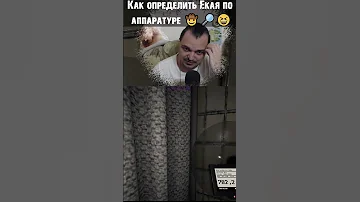 КАК ОПРЕДЕЛИТЬ ЁКАЯ ПО АППАРАТУРЕ В PHASMOPHOBIA! #shorts #phasmophobia #wages_of_sin