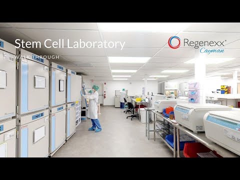 Regenexx Cayman Laboratory Walk Through
