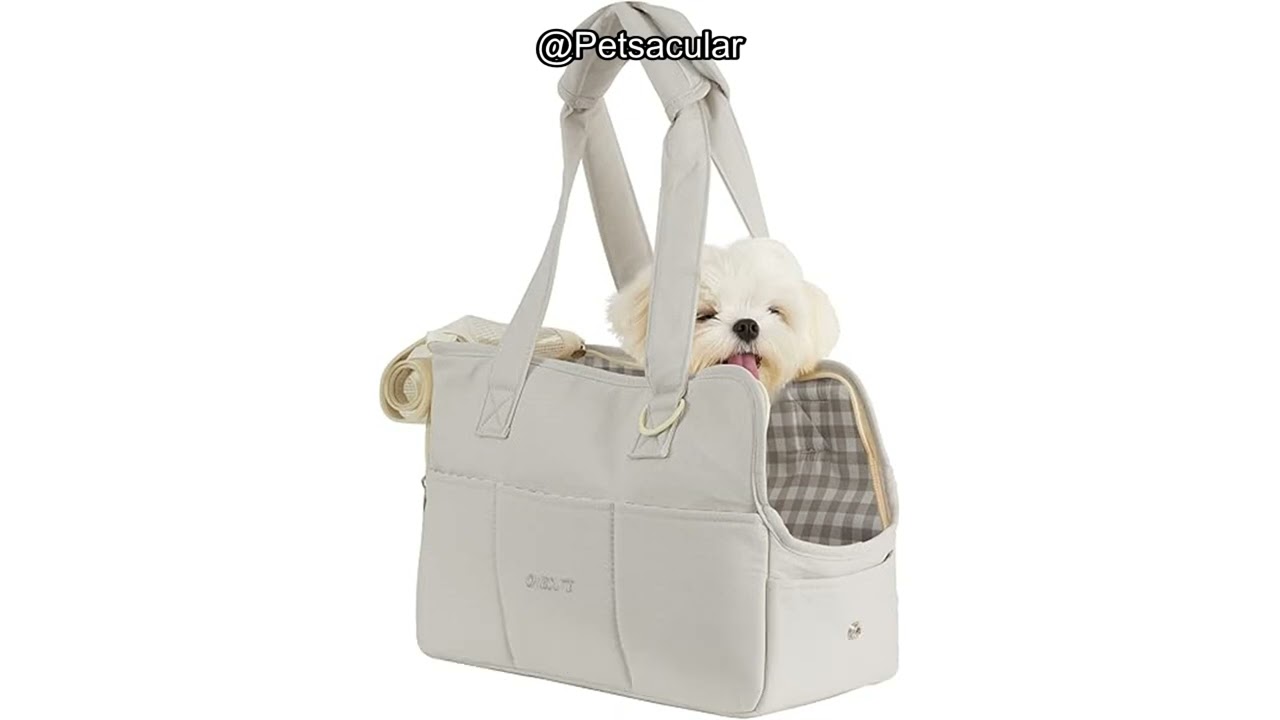 Onecute Pet Carrier (Dog Purse )