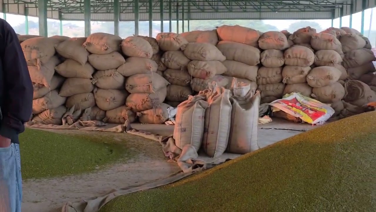 Mandi ka vlog mini vlogs 