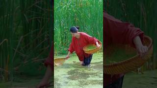 Making soap with moss |#shortvideo