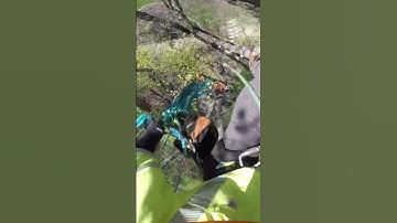 Gotta Be A Little Crazy 🤪 Speedline Rigging In Tight Spot- Check Out Full Video ⬇️ #shorts #viral